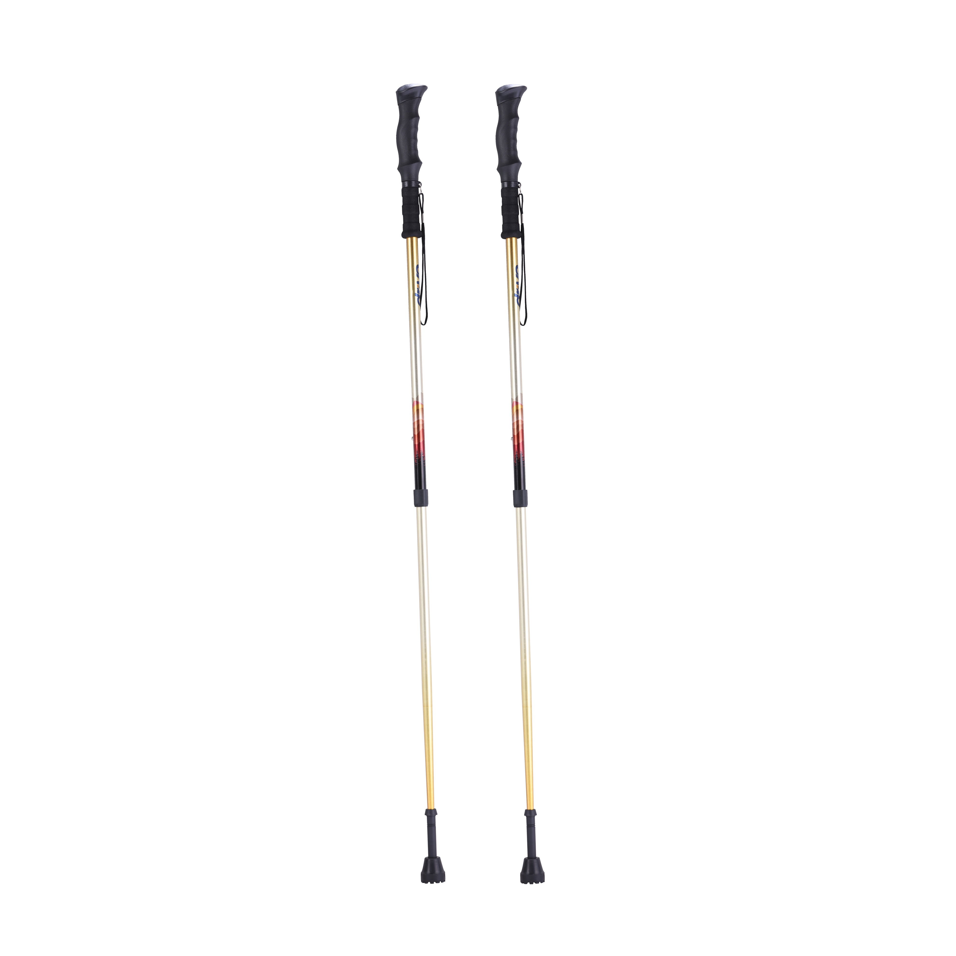 Drive Summit™ Walking Poles